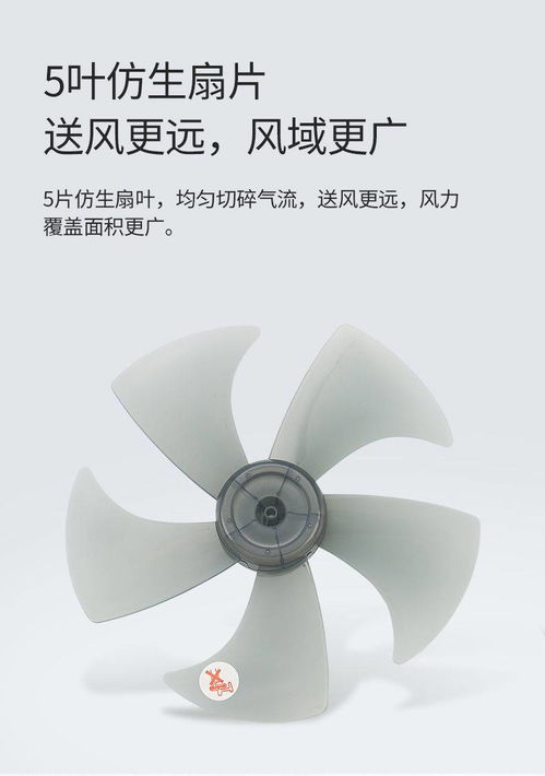 打造清涼舒適家居 T.C.L 大風(fēng)量遙控落地扇全方位解析